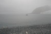 
DSC00204